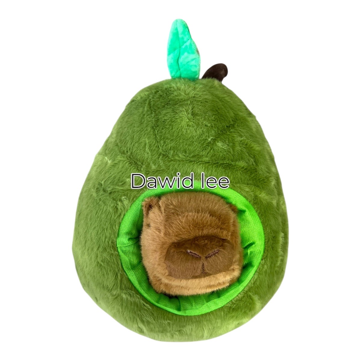 avocado kapibara 30cm