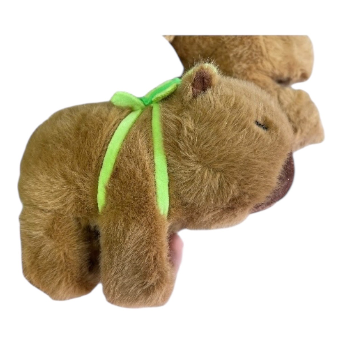 kapibara na reka - muzyka