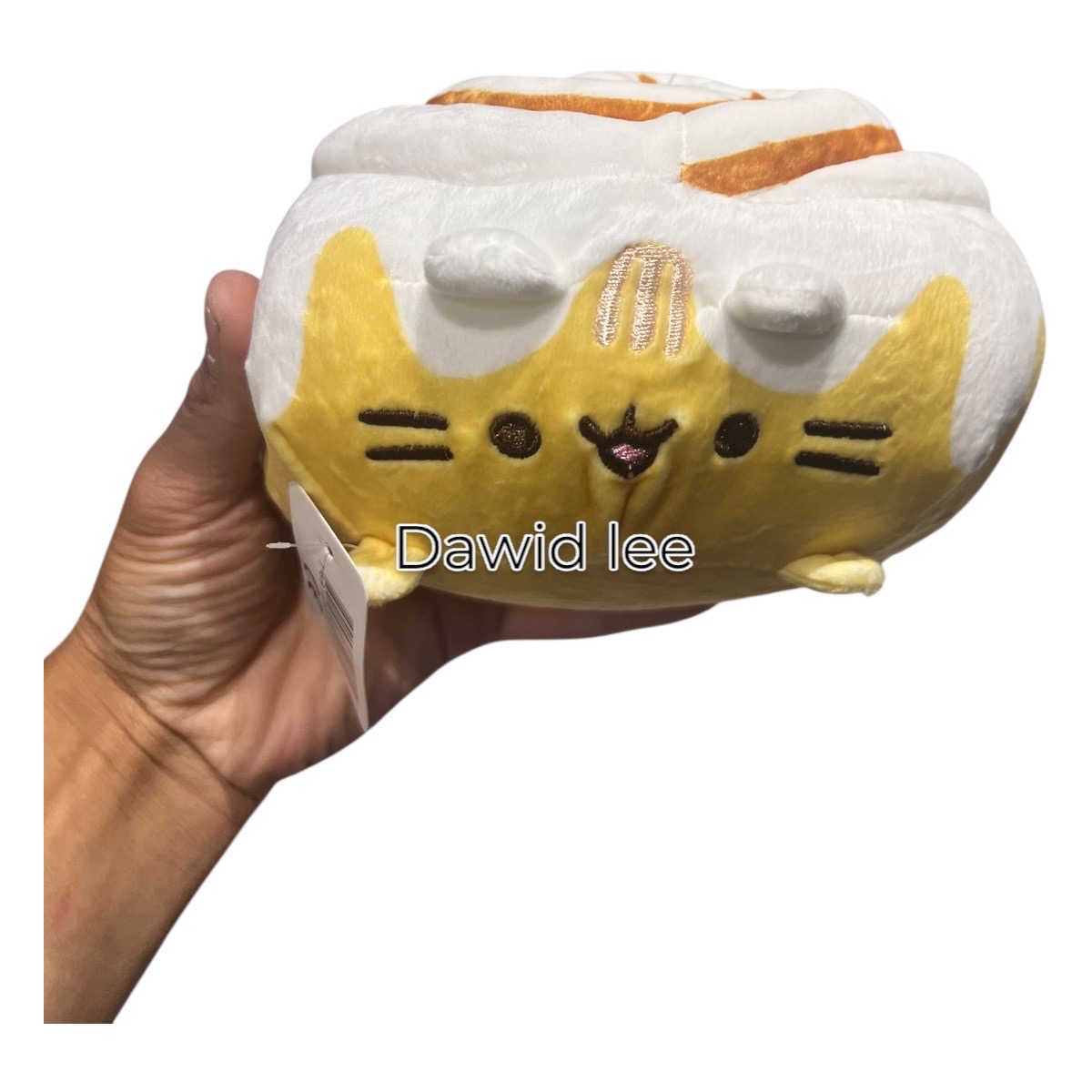 maskotka pusheen