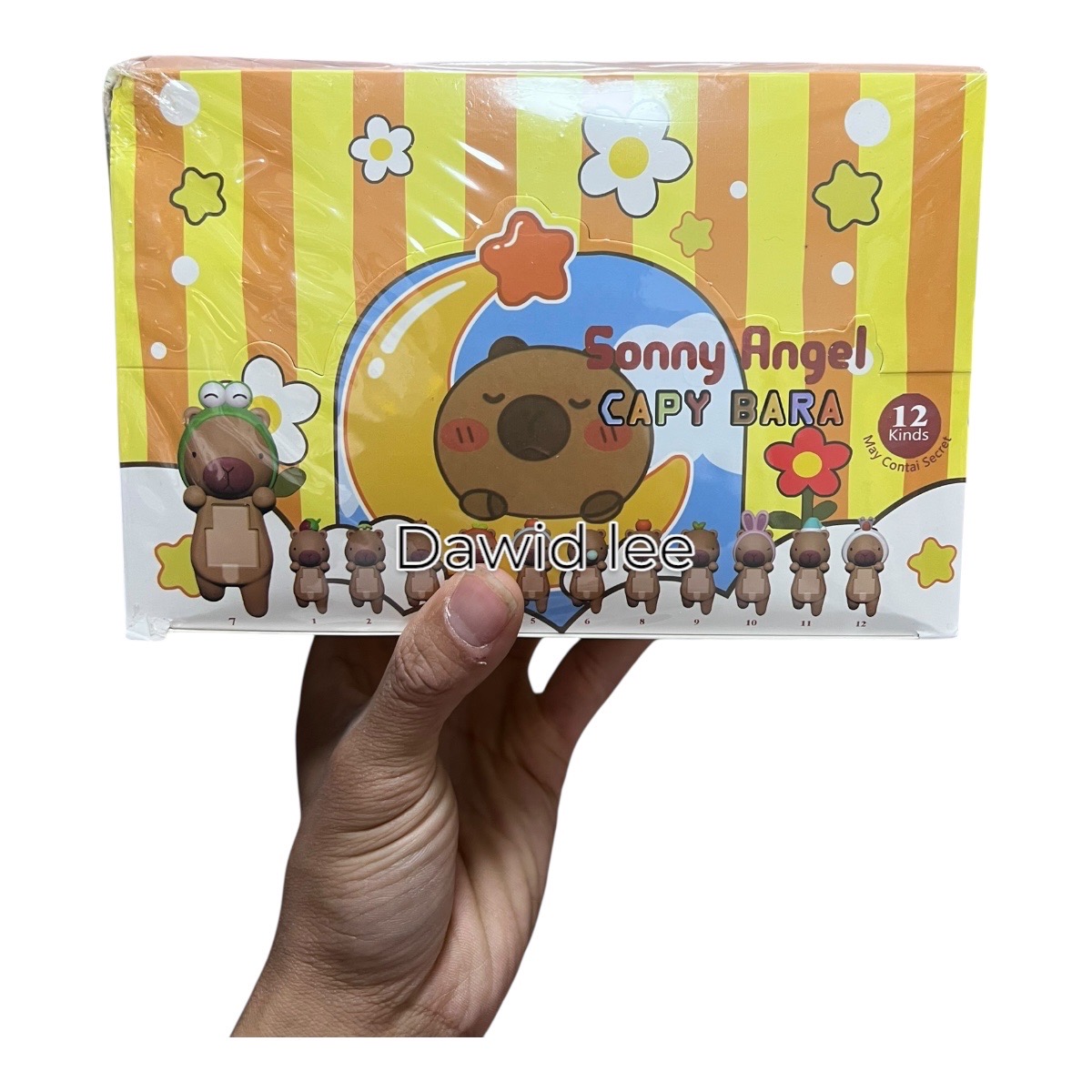 sonny angel kapibara