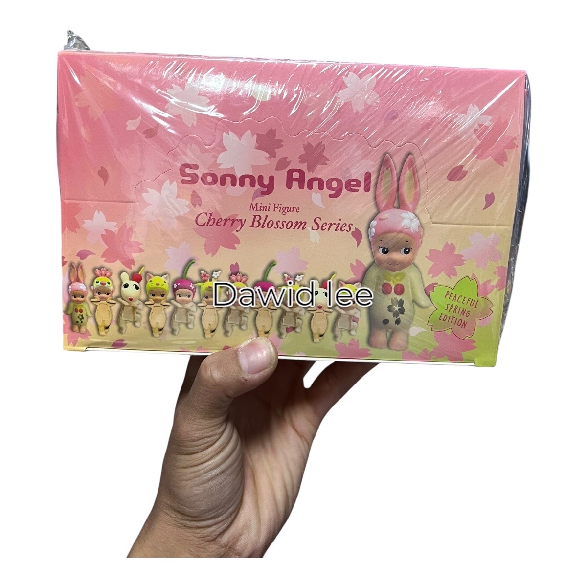 sonny angel