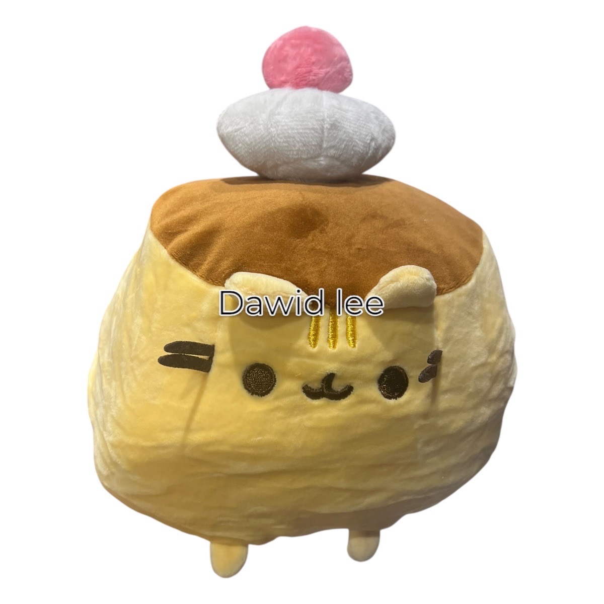 maskotka pusheen