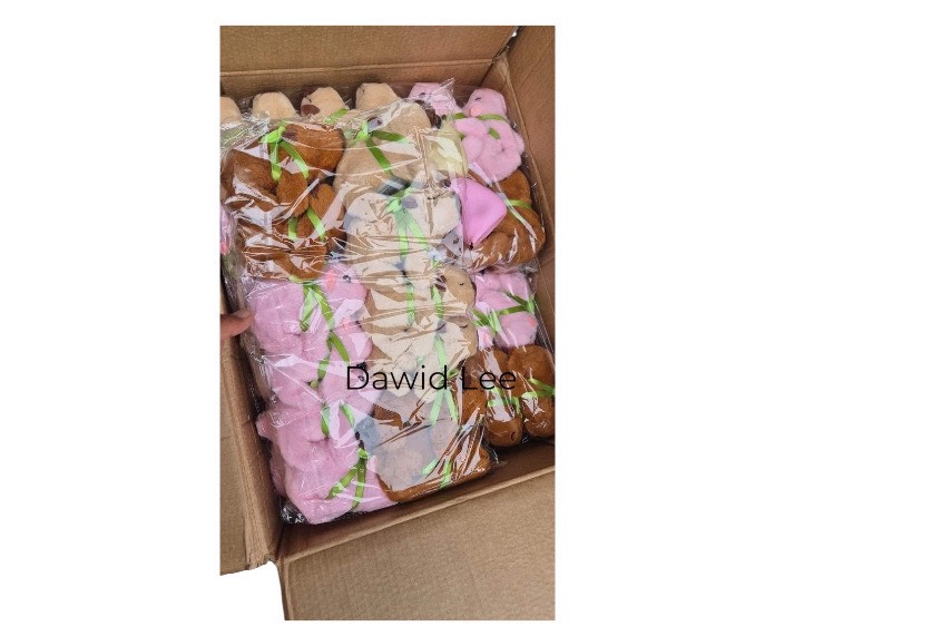 kapibara chodzic i muzyka