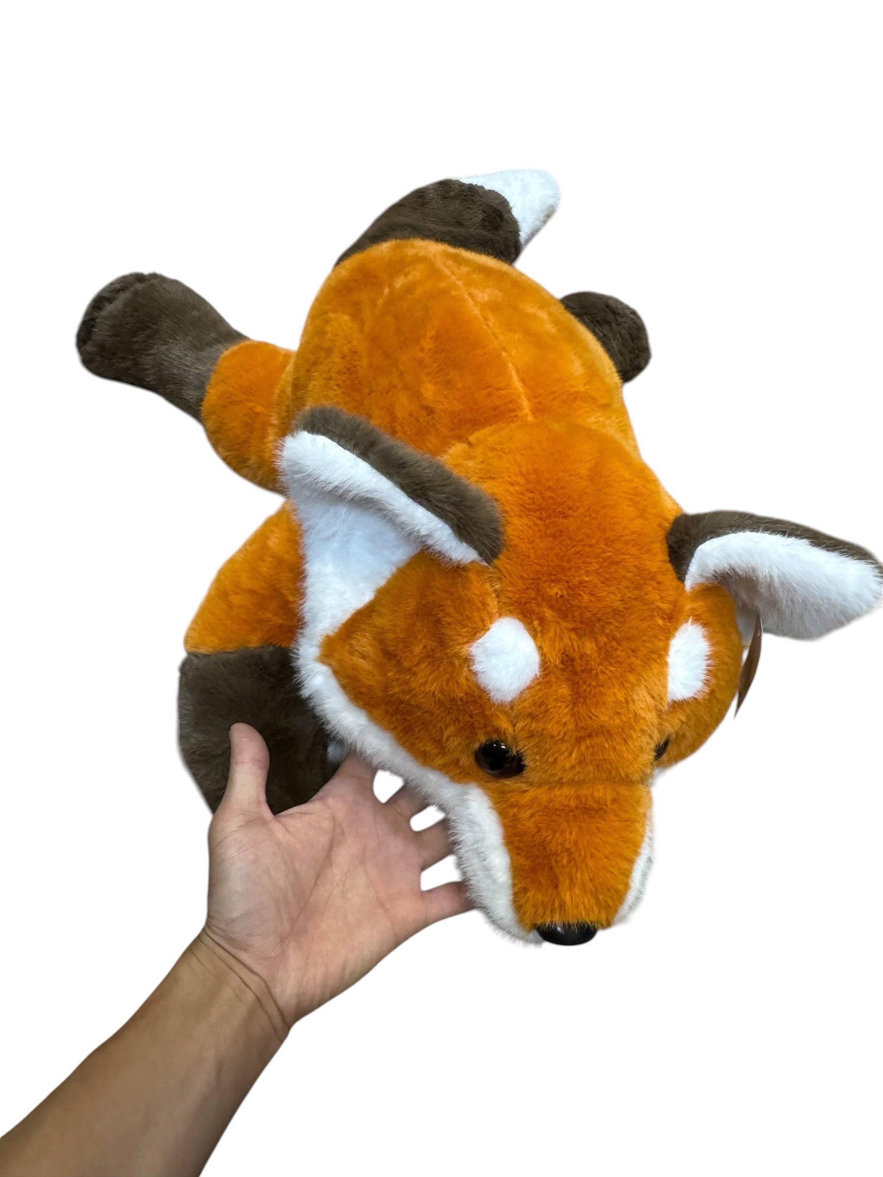 lis 30cm
