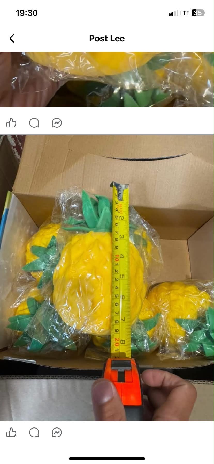 ananat xxl
