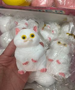 kot gniotki